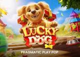 Lucky Dog