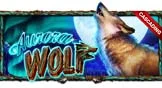 AURORA WOLF